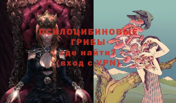 дурь Горняк